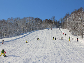 北竜町施設案内
